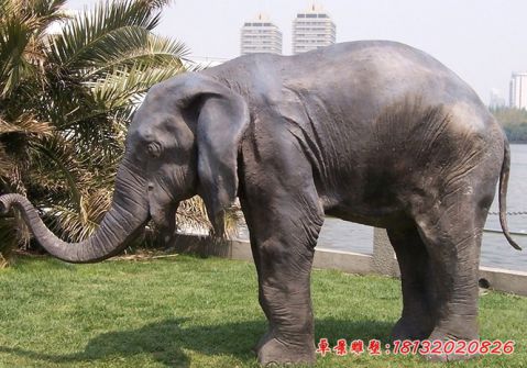 公園大象銅雕塑